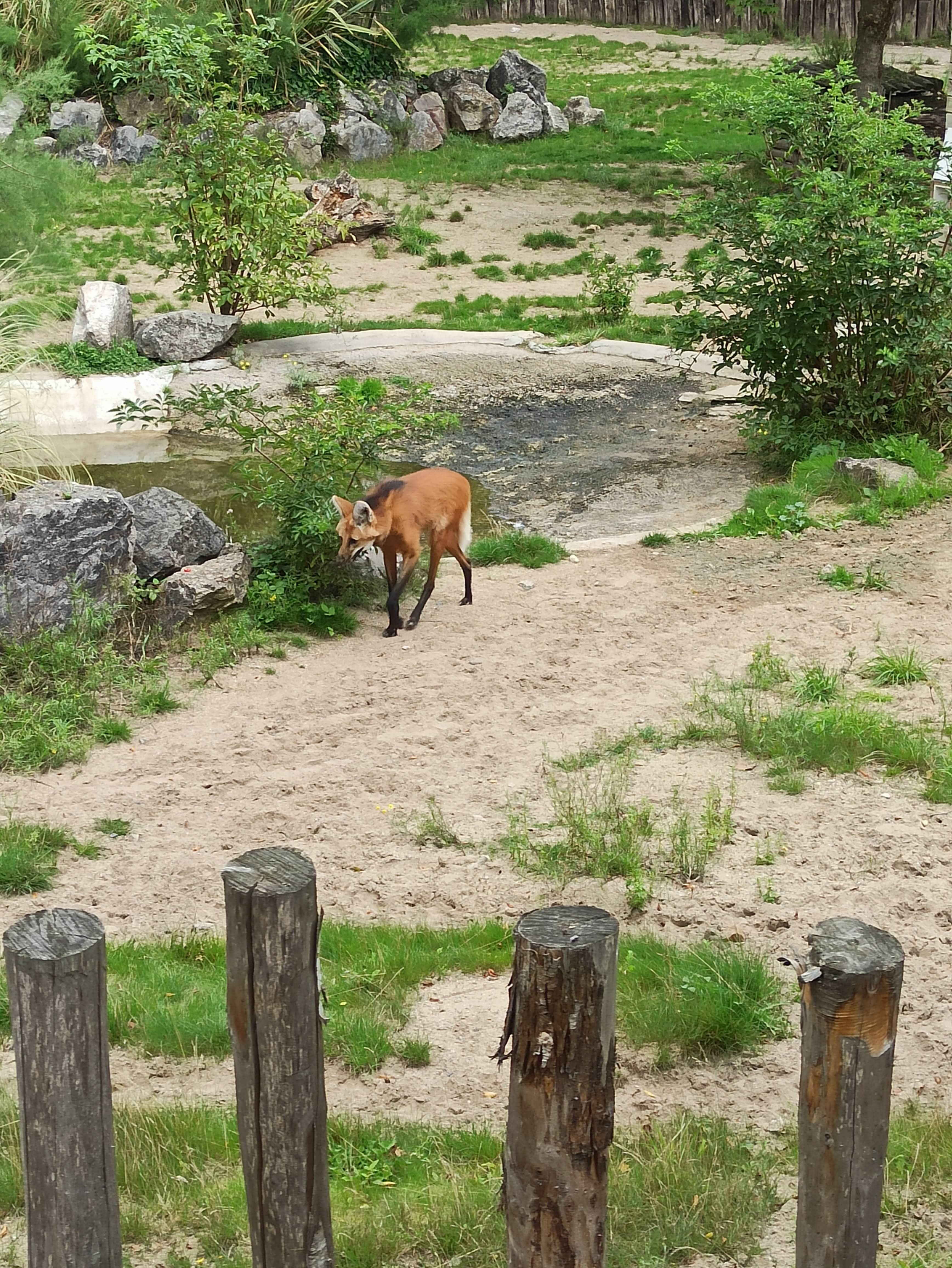 Photo n° 3 de l'avis de Audrey.r fait le 07/09/2020 à 12:19