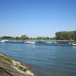 Photo n°4 de l'avis de Peter.e fait le 04/10/2018 à 14:32 sur le  Zum Fährstübchen à Trebur