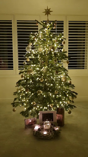 Reviews of Berkshire Christmas Trees in Reading - Shop