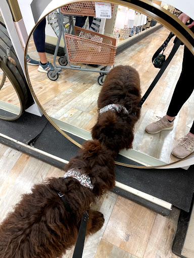 Department Store «HomeGoods», reviews and photos, 961 Lomas Santa Fe Dr, Solana Beach, CA 92075, USA