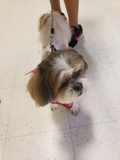 Pet Supply Store «PetSmart», reviews and photos, 4421 Virginia Beach Blvd, Virginia Beach, VA 23462, USA