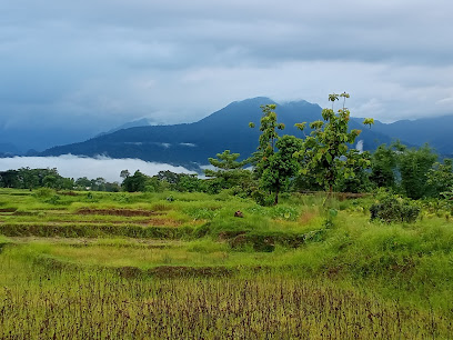 Corramore tea Estate - Tea Manufacturer in Khairabari Grant , India
