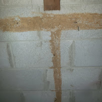 State Standard Pest Control - Photo 5 - Car repair in , Lexington