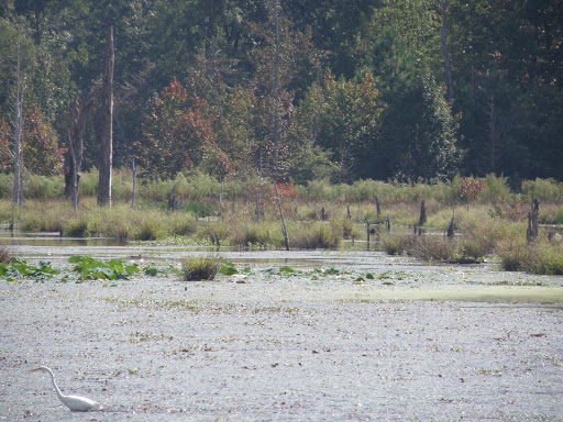 State Park «Caledon State Park», reviews and photos, 11617 Caledon Rd, King George, VA 22485, USA