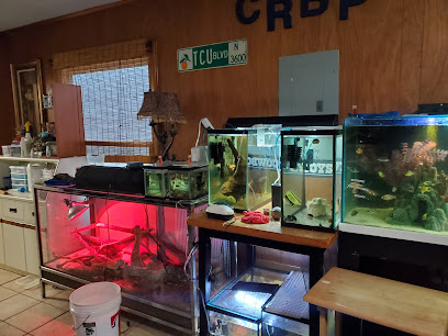 Champions Tropical Fish Room