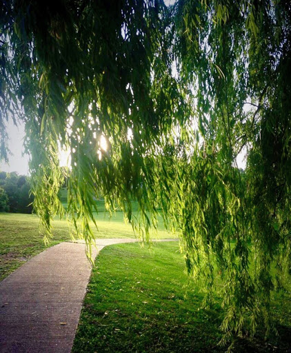 Golf Club «Fox Hollow Golf Club», reviews and photos, 280 Clubhouse Ln, Glasgow, KY 42141, USA