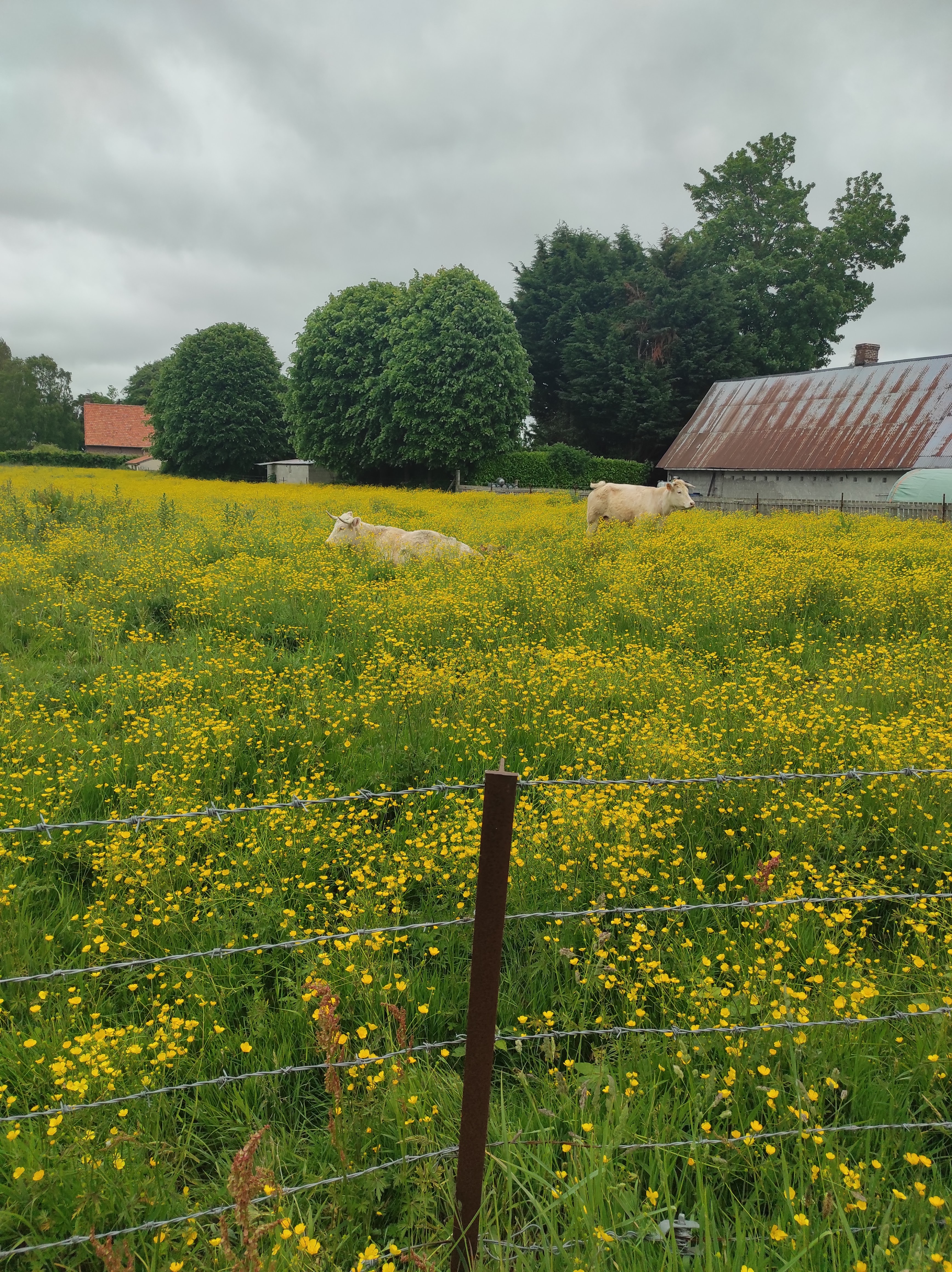 Photo n° 1 de l'avis de Myriam.a fait le 27/05/2022 à 17:43