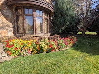 Interior Greenscapes - Photo 6 - Car repair in , Boise