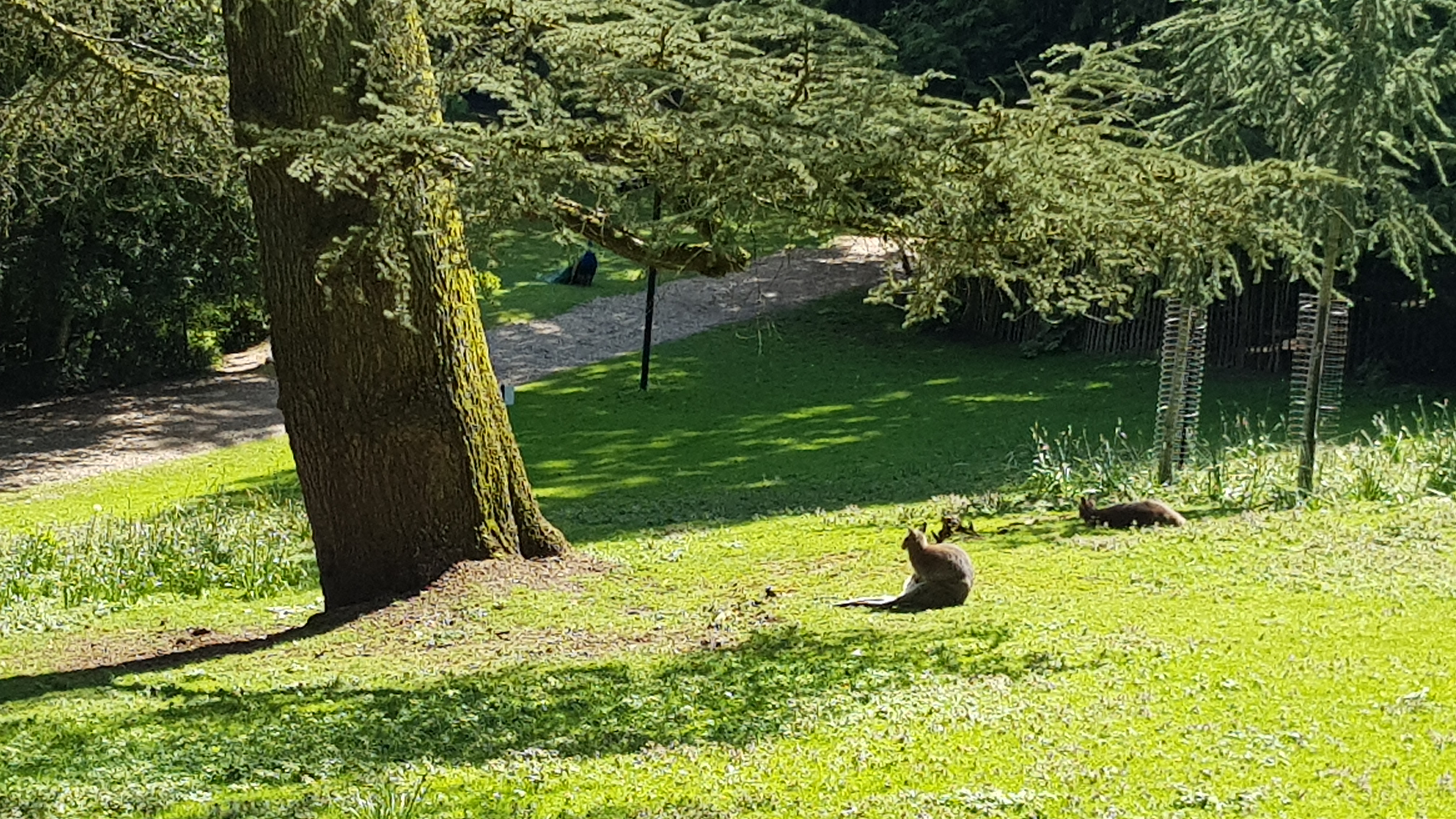 Photo n° 11 de l'avis de Tirlipinpon.u fait le 12/05/2019 à 18:48