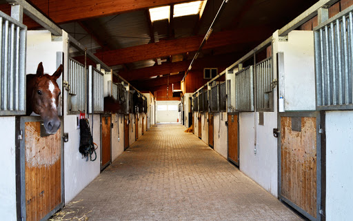 Dr. med. vet. Daniel Spitznagel unter Klettgau, Baden Württemberg