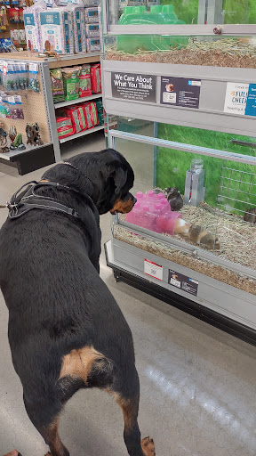 Pet Supply Store «Petco Animal Supplies», reviews and photos, 325 Paul Huff Parkway, Cleveland, TN 37312, USA