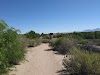 Mesilla Valley Bosque State Park