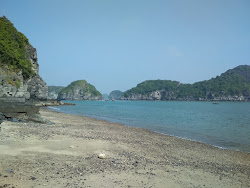 Photo de Blue Swimmer Beach entouré de montagnes