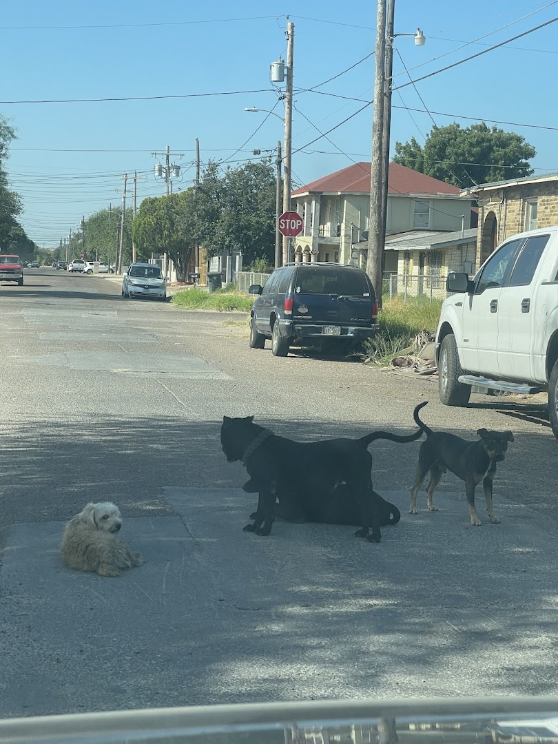 City of Laredo Animal Care Services