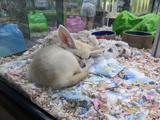 Pet Store «Incredible Pets Inc», reviews and photos, 2255 N Wickham Rd # 102, Melbourne, FL 32935, USA