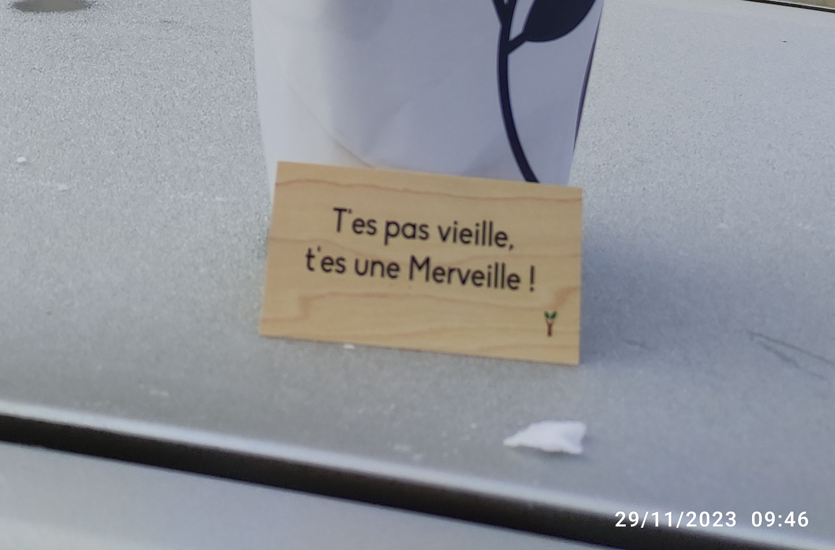 Photo n° 1 de l'avis de M-Jeanne. fait le 30/11/2023 à 01:18