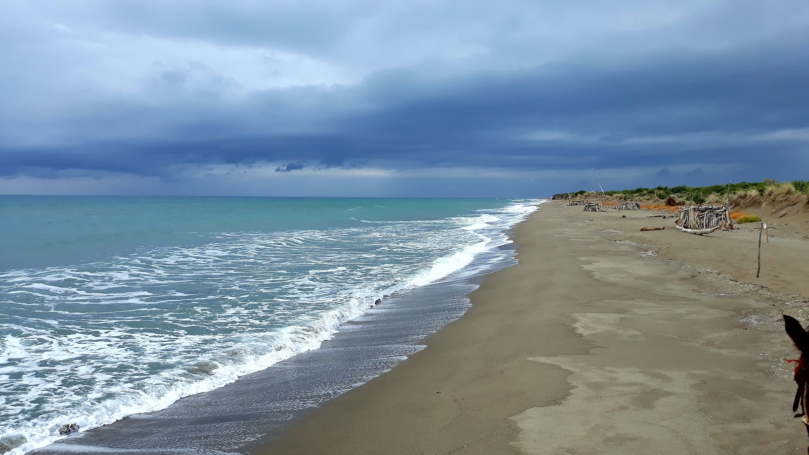 Foto de Spiaggia di Collelungo zona salvaje