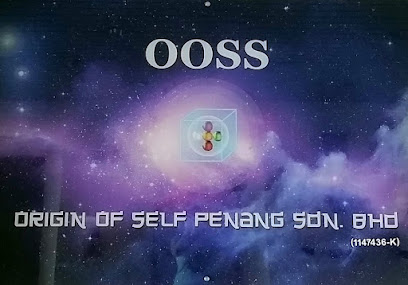 Origin Of Self Penang Sdn Bhd