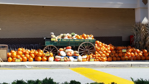 Shopping Mall «Park Ridge Shopping Center», reviews and photos, 2725 W Main St, Eagleville, PA 19403, USA