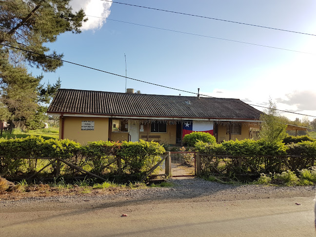 Casa peumo negro