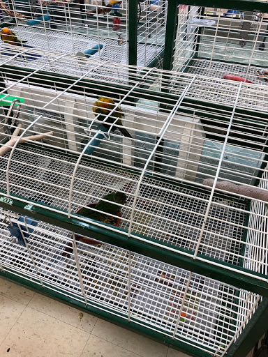 Pet Store «Discount Pet & Supplies», reviews and photos, 16320 Middlebelt Rd, Livonia, MI 48154, USA