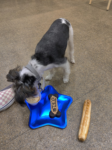 Pet Supply Store «PetSmart», reviews and photos, 2901 Texas Sage Trail, Fort Worth, TX 76177, USA