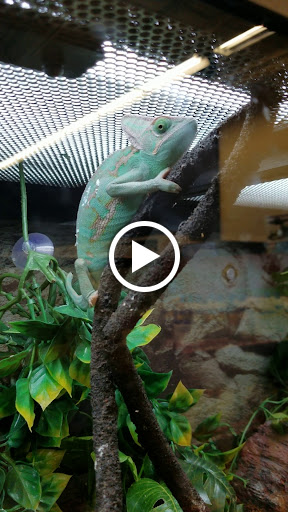 Pet Supply Store «Petco Animal Supplies», reviews and photos, 187 Stonebrook Pl, Jackson, TN 38305, USA