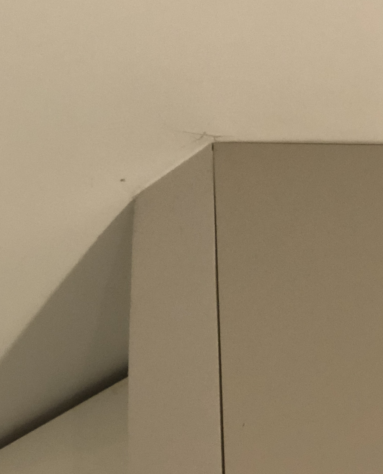 Photo n° 2 de l'avis de megw. fait le 26/12/2022 à 23:31