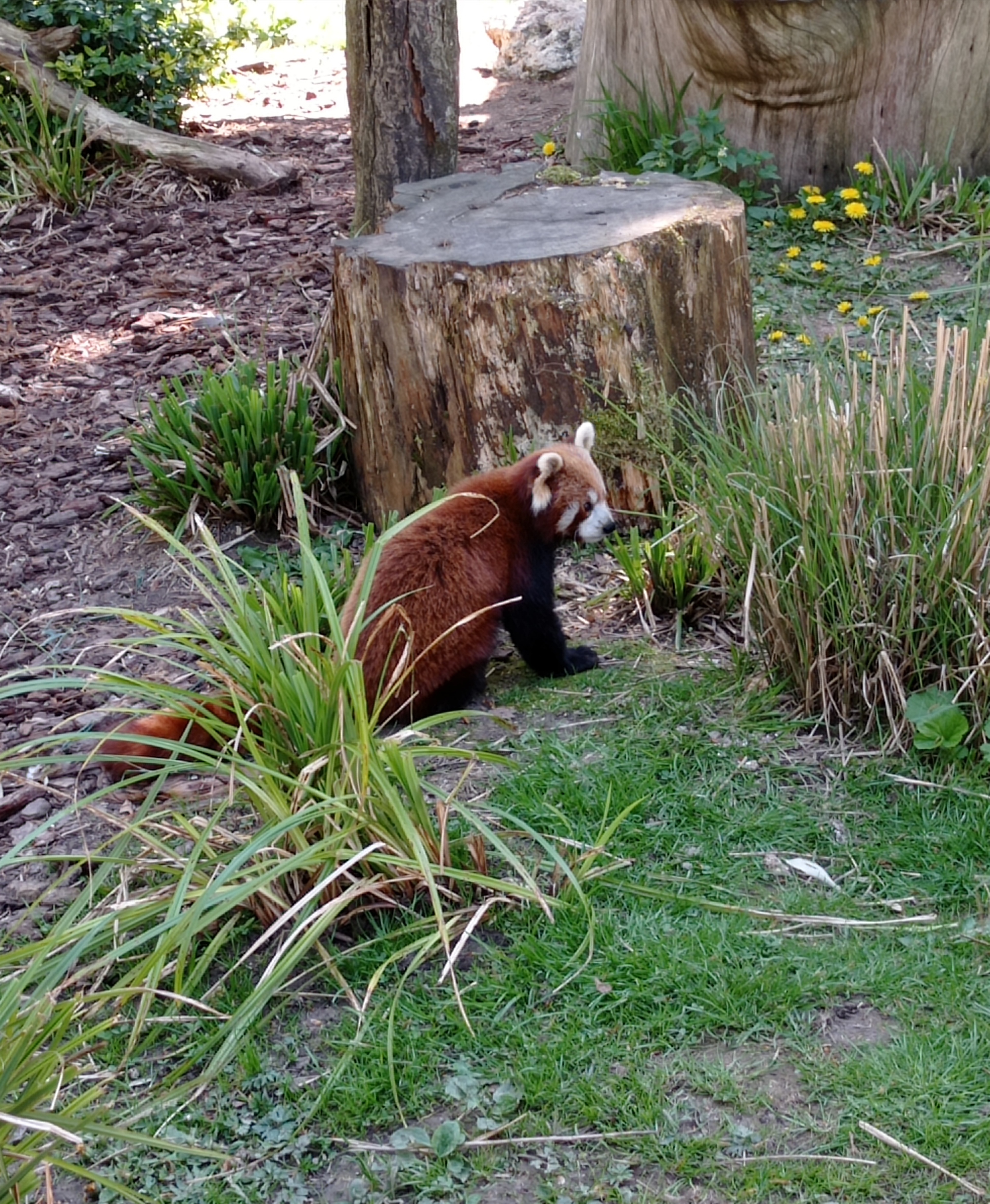 Photo n° 1 de l'avis de Louise.i fait le 04/05/2023 à 17:23