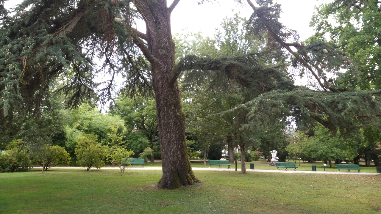 Photo n° 4 de l'avis de Cherif.o fait le 17/08/2018 à 12:11