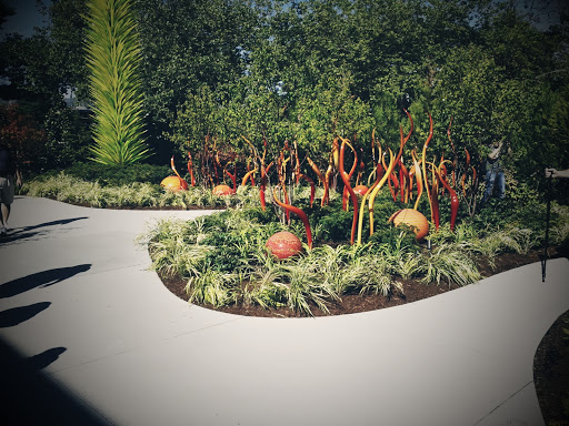 Park «Viretta Park», reviews and photos, 151 Lake Washington Blvd E, Seattle, WA 98112, USA