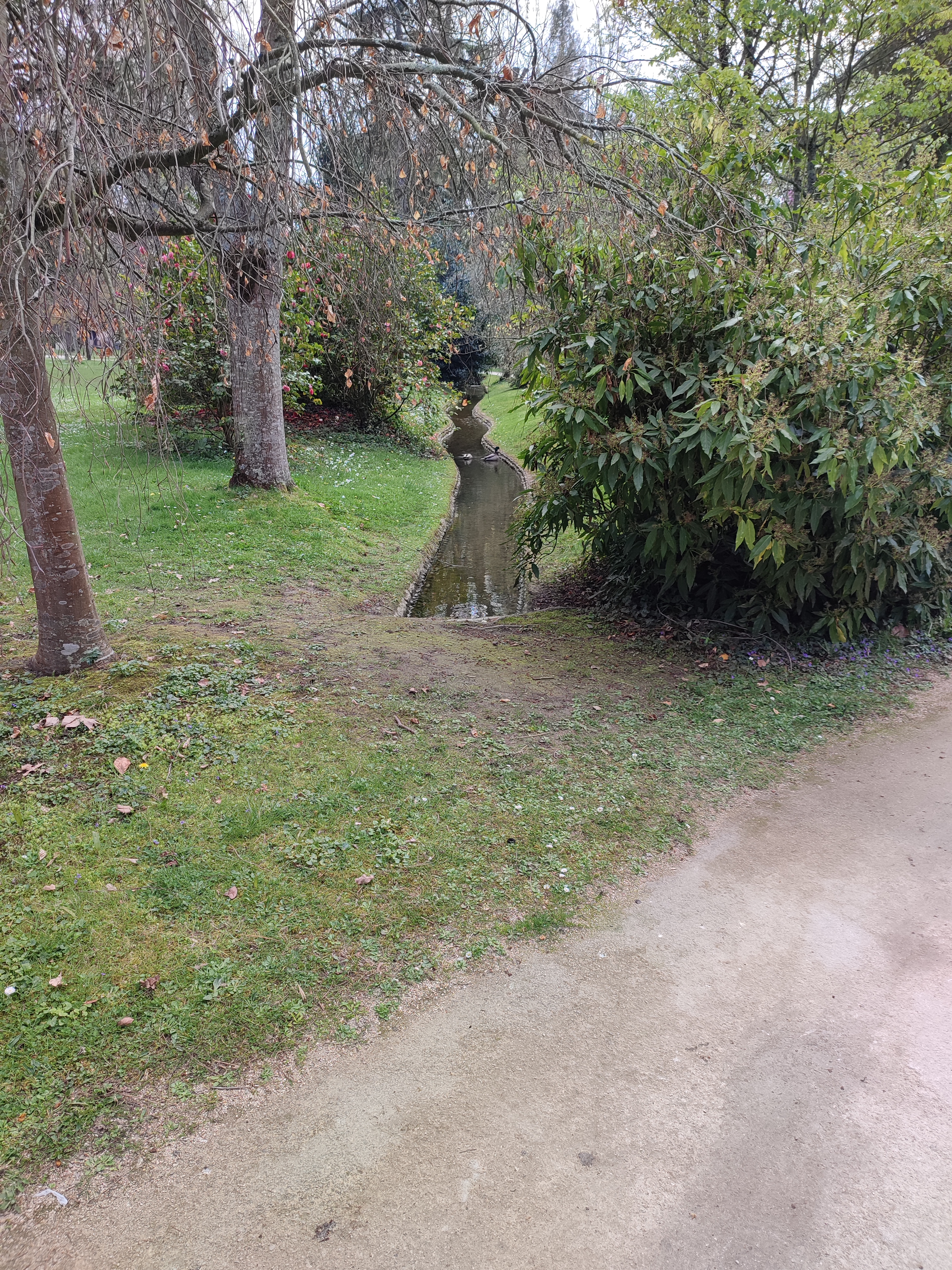 Photo n° 1 de l'avis de Romuald.a fait le 26/03/2022 à 13:27