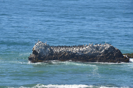 Luxury Hotel «The Ritz-Carlton, Half Moon Bay», reviews and photos, 1 Miramontes Point Rd, Half Moon Bay, CA 94019, USA