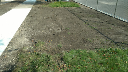 Park «Phelps Field Park», reviews and photos, 701 E 39th St, Minneapolis, MN 55407, USA