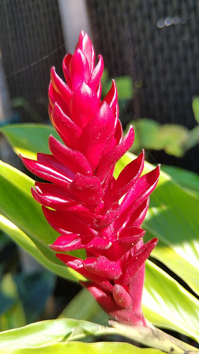 Zoo «Naples Zoo at Caribbean Gardens», reviews and photos, 1590 Goodlette-Frank Rd, Naples, FL 34102, USA