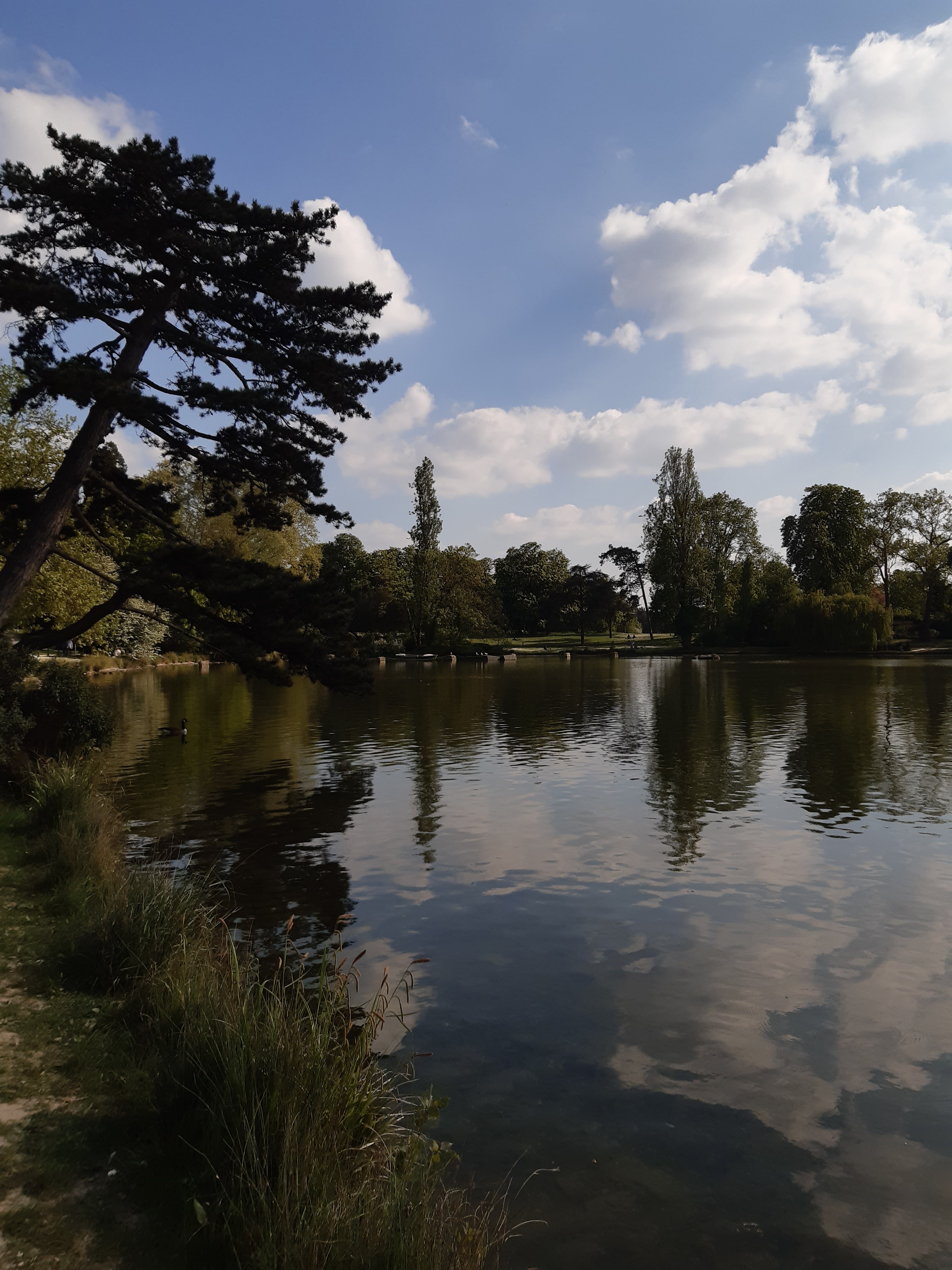 Photo n° 1 de l'avis de Pooyan.a fait le 27/04/2022 à 19:06