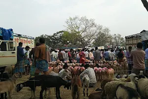Pachundi Animal Sale Market image