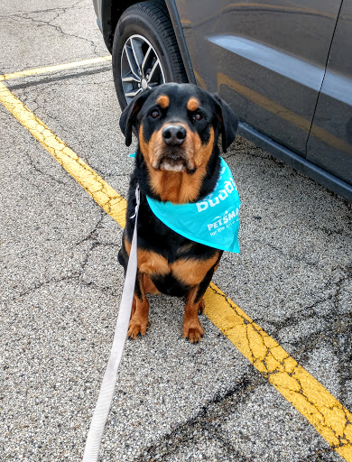 Pet Supply Store «PetSmart», reviews and photos, 162 S Gary Ave, Bloomingdale, IL 60108, USA
