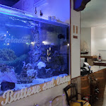 Photo n°6 de l'avis de ALESSANDRO.O fait le 22/02/2024 à 23:39 sur le  Ristorante Piccolo Paradiso Roma (Casalotti) à Rome