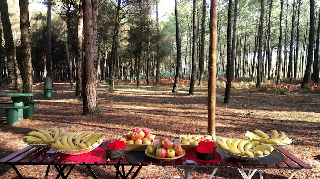 Merenda Portuguesa Horário de abertura