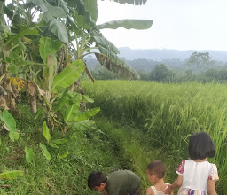 Lapak Radin Nur photo