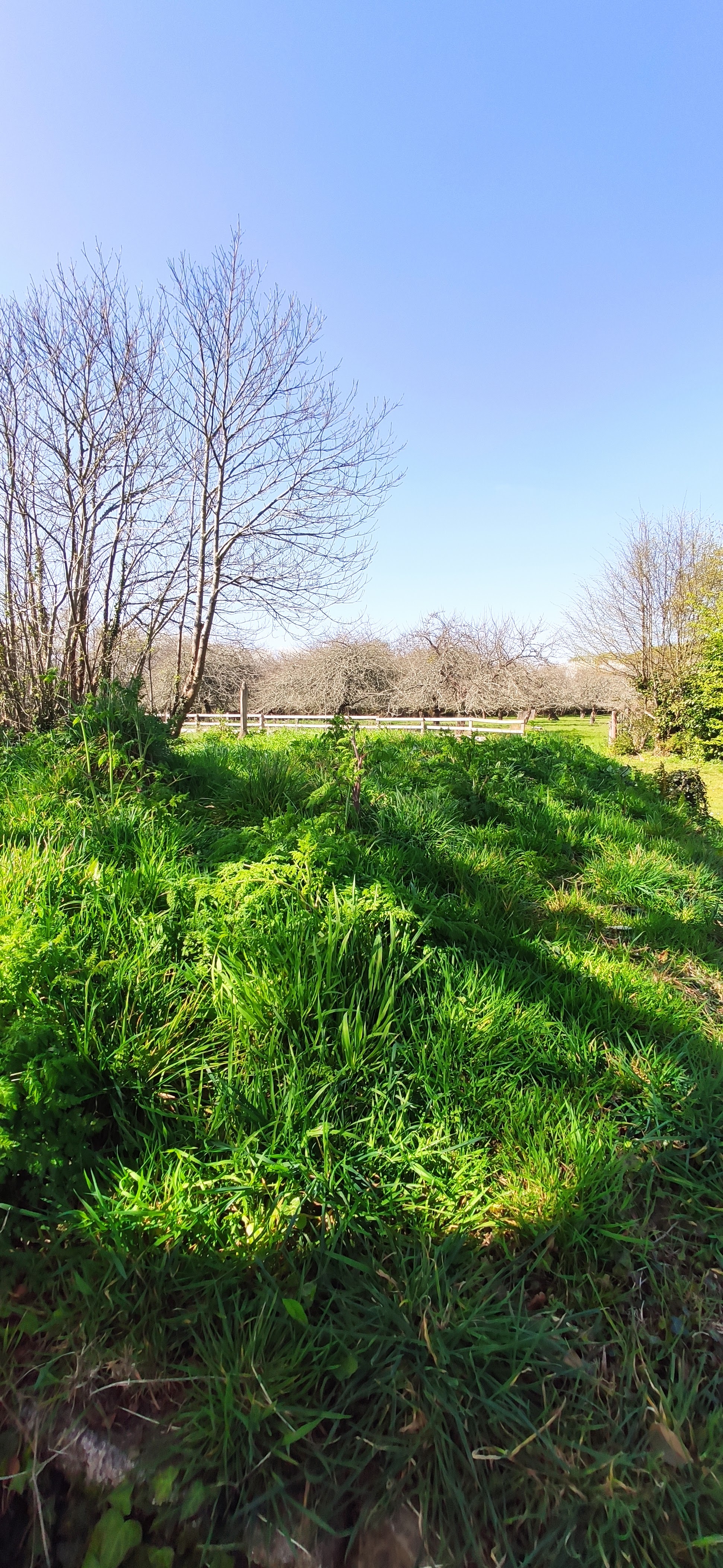 Photo n° 10 de l'avis de Pierre.a fait le 05/04/2021 à 14:44