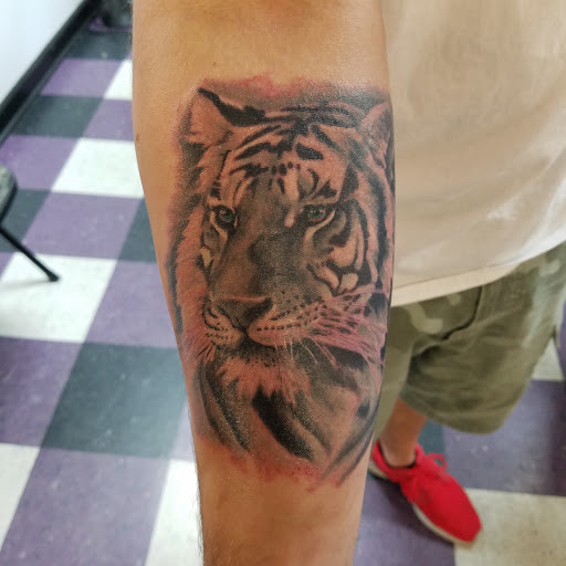 Tattoo Shop «Paragon Tattoos», reviews and photos, 1243 Joe Frank Harris Pkwy SE, Cartersville, GA 30120, USA