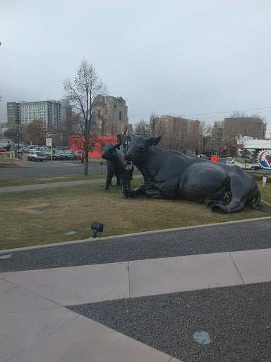 Art Museum «Clyfford Still Museum», reviews and photos, 1250 Bannock St, Denver, CO 80204, USA