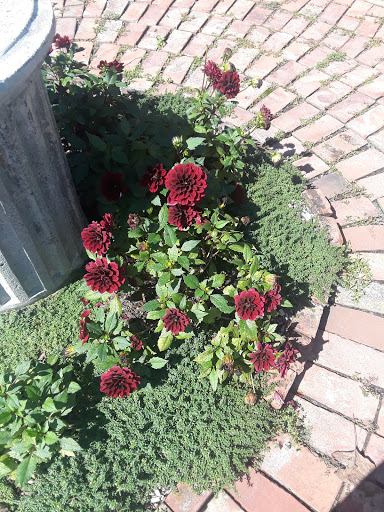 Historical Landmark «Montgomery Place Historic Estate», reviews and photos, 26 Gardener Way, Red Hook, NY 12571, USA