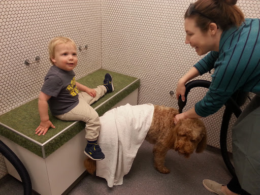 Pet Groomer «Bubbly Paws Dog Wash & Grooming», reviews and photos, 949 Grand Ave, St Paul, MN 55105, USA