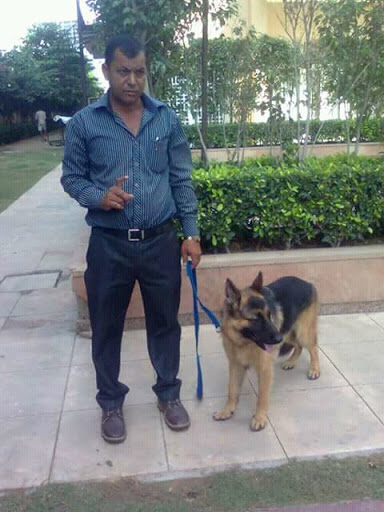 Raj Kishor Yadav Dog Trainer