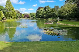 Burnby Hall Gardens image