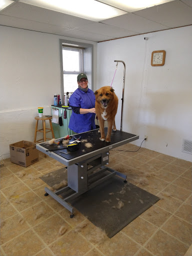 Pet Supply Store «Pets For You», reviews and photos, 413 N Main St, Rice Lake, WI 54868, USA