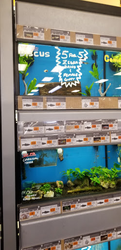 Pet Supply Store «Petco Animal Supplies», reviews and photos, 450 N Rte 17, Paramus, NJ 07652, USA